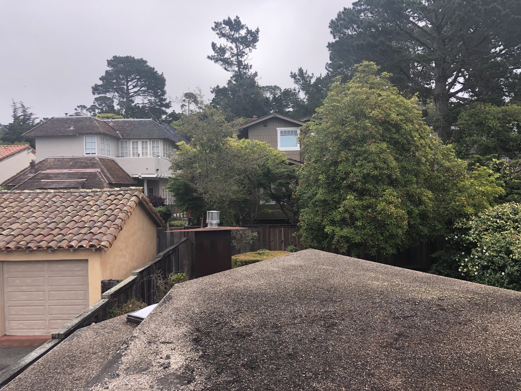 Chapman House exterior and garden at the time of acquisition